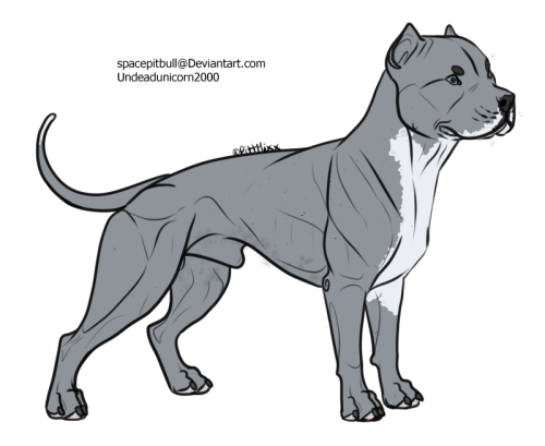 pittieadult4.6B