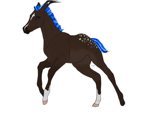 Foal Breedings 2