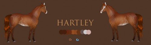 hartley by altaircallisto db9auhf fullview