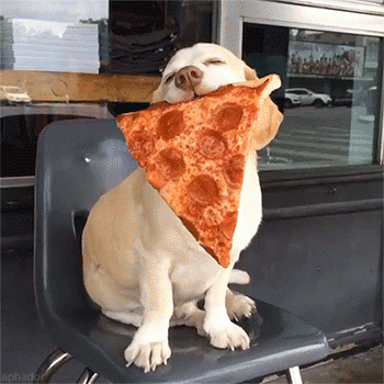 Pizza Pup2