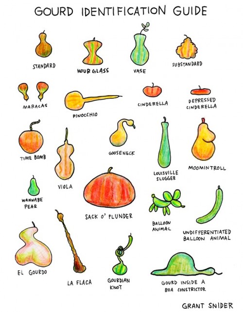 Gourd Identification