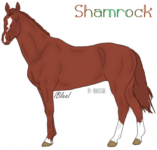 Shamrock without addons HorseGirl