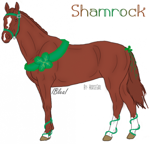 Shamrock with Add ons HorseGirl