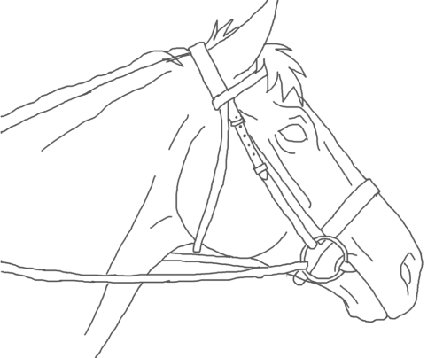 free use horse head lineart by arandomhorselover d7mmzmu fullview