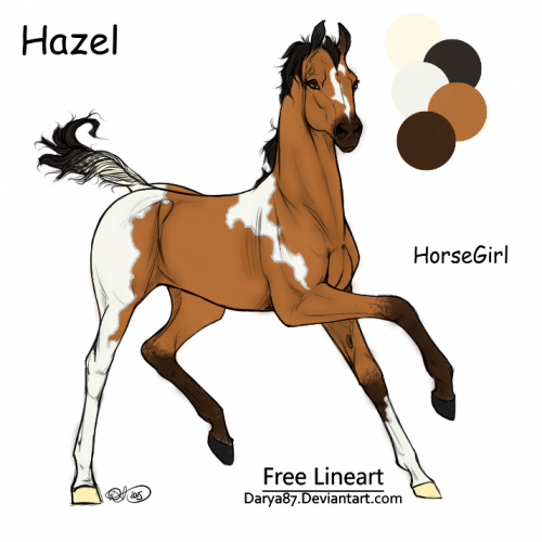 Hazel is the first filly of HoneyComb and Bandit she runs wild with her parents and her herd, as one day she will be the next lead mare of the herd. She will also grow up to be a brave, strong, beautiful, ongoing, sweet, and caring mare.