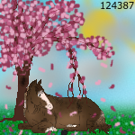 Blossom HorseGirl