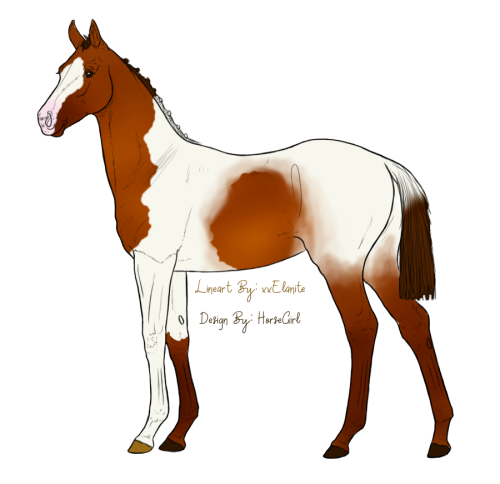 foal HorseGirl