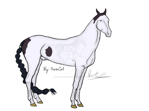paint for ccs horsegirl