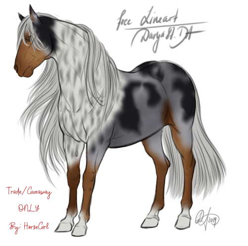 bluemeriedog HorseGirl