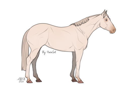 perlinosale HorseGirl