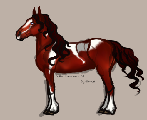 sojeolous HorseGirl