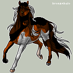 Casmire (Friend's Cousin's Uniquely Designed Horse)