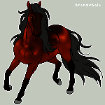 Darkflame (Friend's Second Fav Colored Horse)