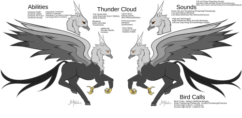 Thunder Cloud Ref