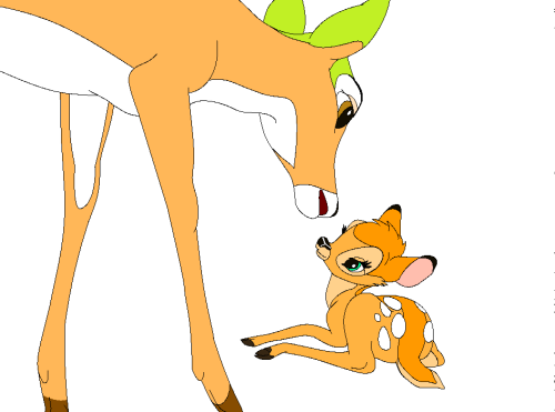 Enya and her fawn