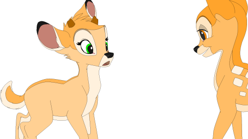 Enya the fawn with antlers.
Unnamed young doe from Bambi's herd.