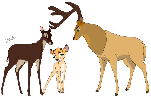 Enya the little Reindeer fawn
Unnamed mother.
Unnamed father, also the leader of Enya's migrating herd.