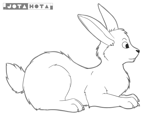 Unnamed Bunny