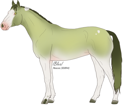 This horse is known by many many names, but here are the short listed ones that this stallion is known by: Shamrock, Spring, Verdigris, and Viridian. Many more names are coming and to be listed.