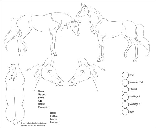 horse ref 1 by yolistock d4fmmbh