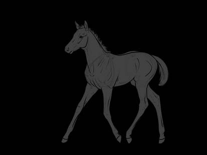 tb lineart for use 4 foal by thunderjam12 dcauneg 414w