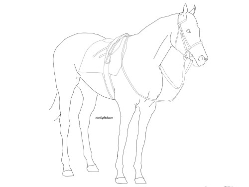 race horse standing lineart by starlightclaws d49ml1o