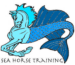 oceanus full mer horse body by rosetheinkdemonwolf dfk6htd