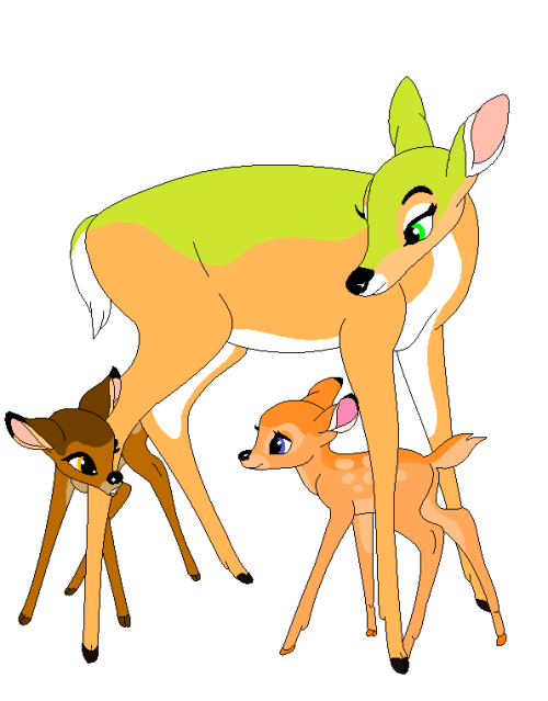 Mother Enya, her fawn and a friendly fawn